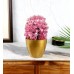 Jar Shape Flower Pot
